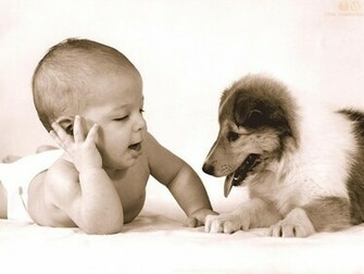 Baby Animals Wallpaper