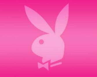 Pink Wallpaper Color