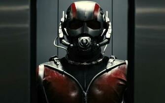 Ant Man In Costume
