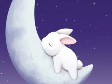 Sleeping Moon Bunny Desktop Wallpaper Cute