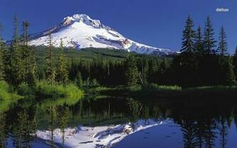 Mount Hood Oregon Wallpaper Nature