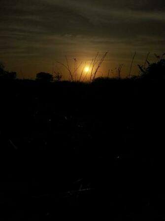 Arai Nature Wallpaper Pune India Celestial