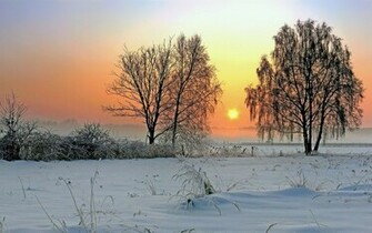 Winter Sunset Wallpaper