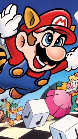Video Game Super Mario Bros