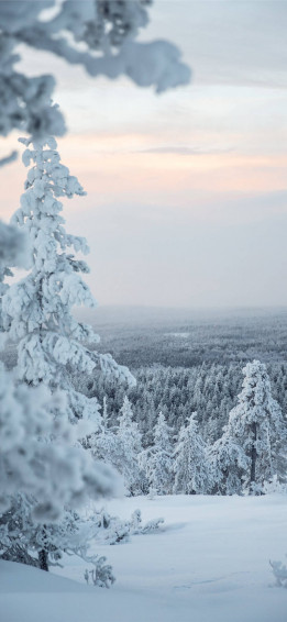Enjoy The Winter With This Cute iPhone Wallpaper