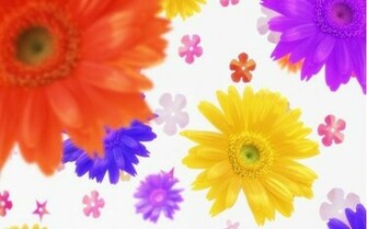 Background Large Wallpaper Enjoy Flower Art Daisy