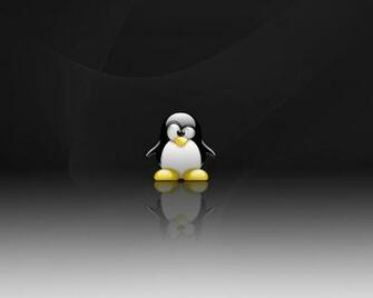 Tux Penguin Wallpaper At Wallpaperbro