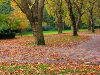 Desktop Wallpaper Of Country Road In Autumn