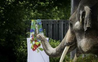 Wallpaper Paint Elephant Brush Trunk Easel Image For Desktop