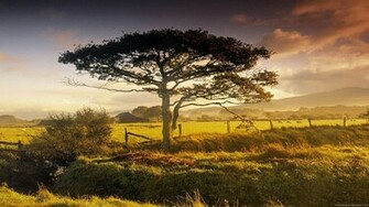 Nature Wallpaper HD 1080p Desktop Background