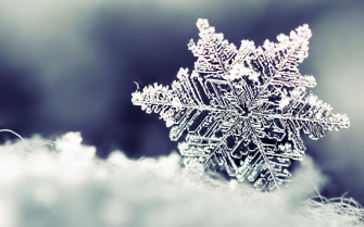 Frozen Snowflake Wallpaper