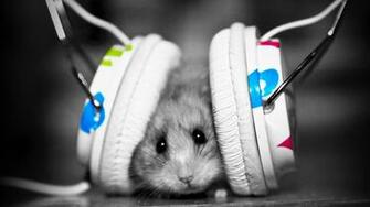 Music Fan Hamster Full HD Desktop Wallpaper 1080p