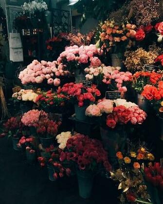 Liberty Pretty Flowers Flower Aesthetic Beautiful