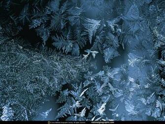 Unique Wallpaper Most Famous National Geographic HD