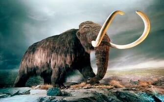 Mammut World Of Animals From The Past HD Wallpaper Wallpaper13
