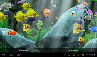 Aquarium Live Wallpaper Is An Amazing Quality Active Now You