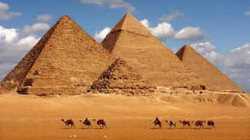 Pyramids And Camels Egypt UHD 4k Wallpaper