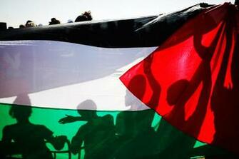 Palestine Flag Face Cover HD Wallpaper Pictures