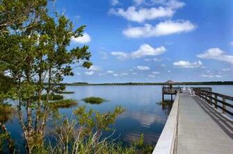 Miami Florida Nature Wallpaper Desktop