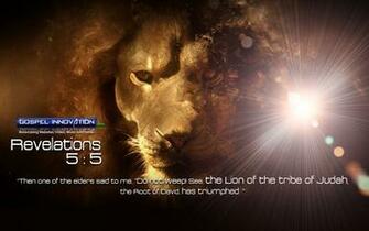 Lion HD Wallpaper