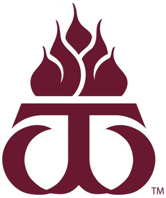 West Texas A M University Graphic Standard New