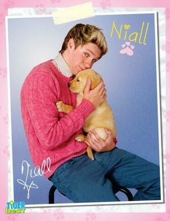 Which 1d Hottie S Tiger Beat Puppy Poster Wins Tbt Bop And