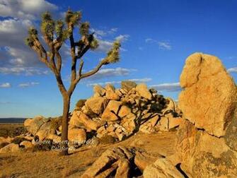 Best Wallpaper America Places