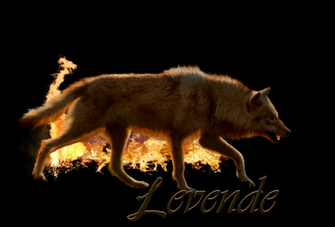 Pin Fire Wolf Wallpaper