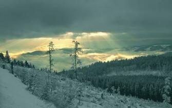 Winter Sun Wallpaper