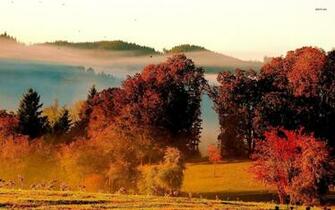 Fields In Eugene Wallpaper