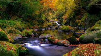 Wallpaper A Beautiful Autumn Landscape In The