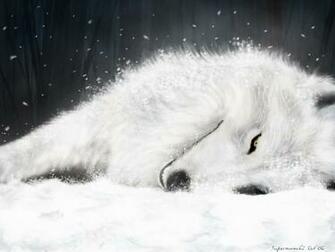 White Wolf Wolves Wallpaper