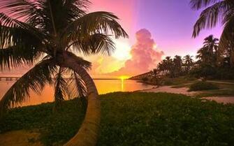 Orange And Pink Beach Sunset Wallpaper