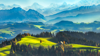 X Nature Wallpaper