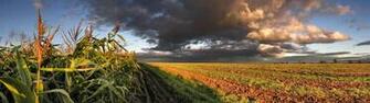 Panoramic Wallpaper iPhone Best HD Wallpaiper