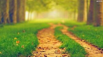Fresh Path Background Image G Sfdcy