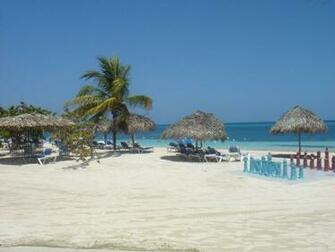 Related Pictures Jamaican Food Buy Jamaica Online Souvenirs