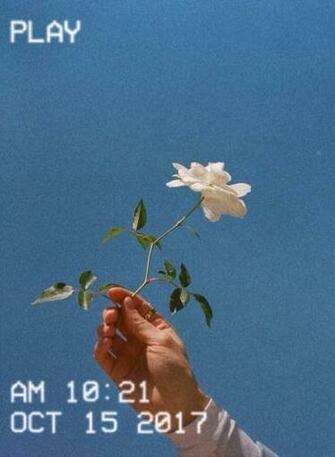 Ally Evans On Photography Blue Aesthetic