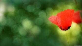 Nature Wallpaper HD Widescreen Desktop Background Home