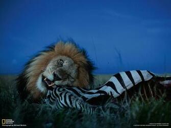 Photography Desktop Wallpaper National Geographic Magazine