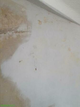 Here S One After I Ran A Scraper Up The Wall Taking Off Bubbling