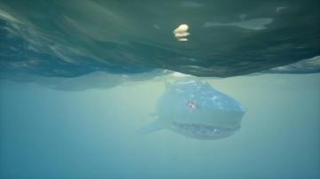 Sea Of Thieves On The Shrouded Ghost Is Real S T