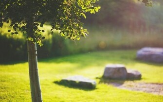 File Name Sunny Day HDq Jpg Becky Smith