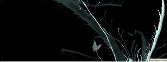 Black Wallpaper Timeline Cover Covers