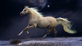 Horse Wallpaper Best