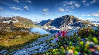 Awesome Spring Landscape Wallpaper