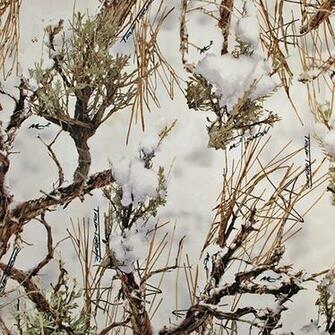 True Timber Mc2 Snow Camo Net Search Results