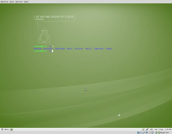 Embedded Terminal Linux Mint Community