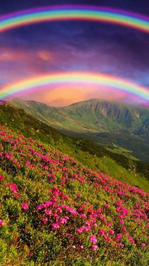 Rainbows iPhone Plus And Wallpaper