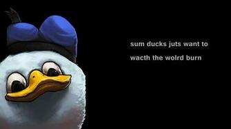 Wallpaper HD Funny Widescreen